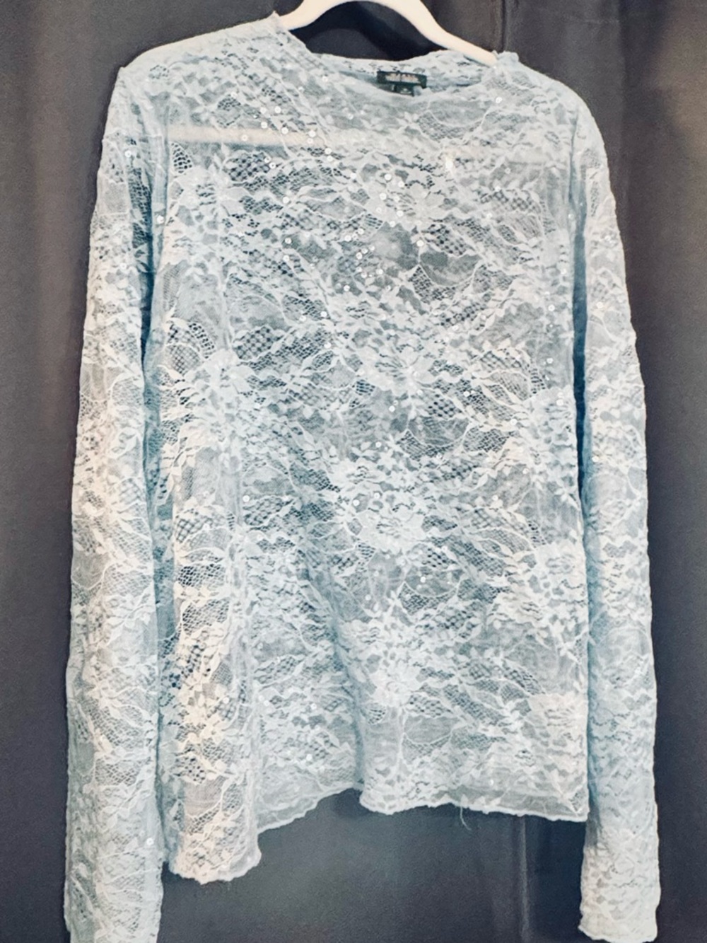 Plus Size Sheer Lace Long Sleeve Crew Top